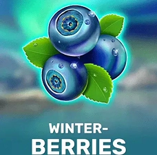 Winter Berries video slot on Crowngreen platform